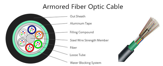 OEM Indoor Fiber Optic Cable Assembly Dual Color Differentiation PVC LSZH OFNP Jacket